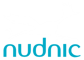 nudnic logo